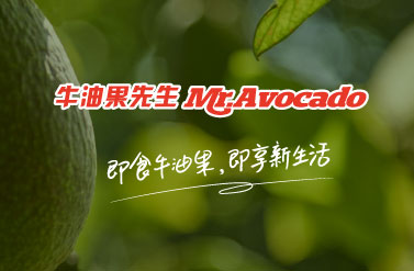 牛油果先生品牌设计